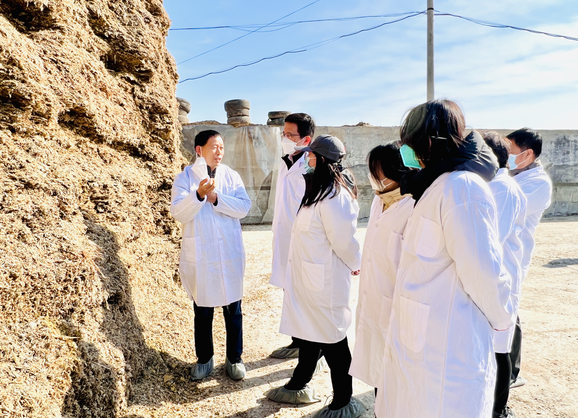 1678096018347896.png 1678096018347896.png