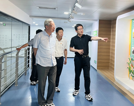 1689064114956099.png 1689064021621.jpg