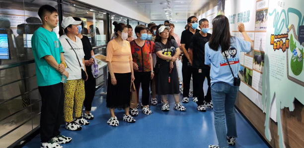 1690872426102869.png 1690872351290.jpg