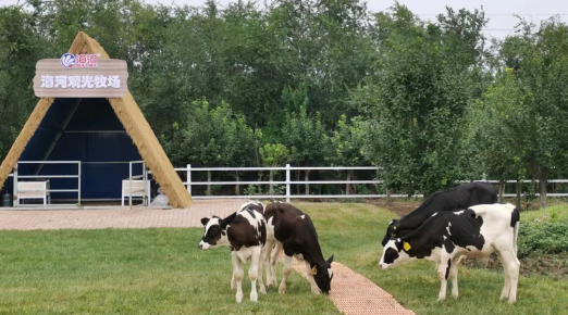 1696753829192790.png 1696753713858.jpg