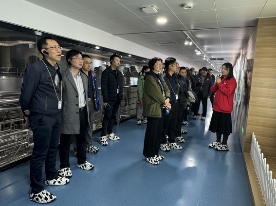 1701674641256298.png 1701674578877.jpg