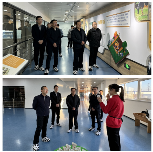 1706861237810410.png 1706861142255.jpg