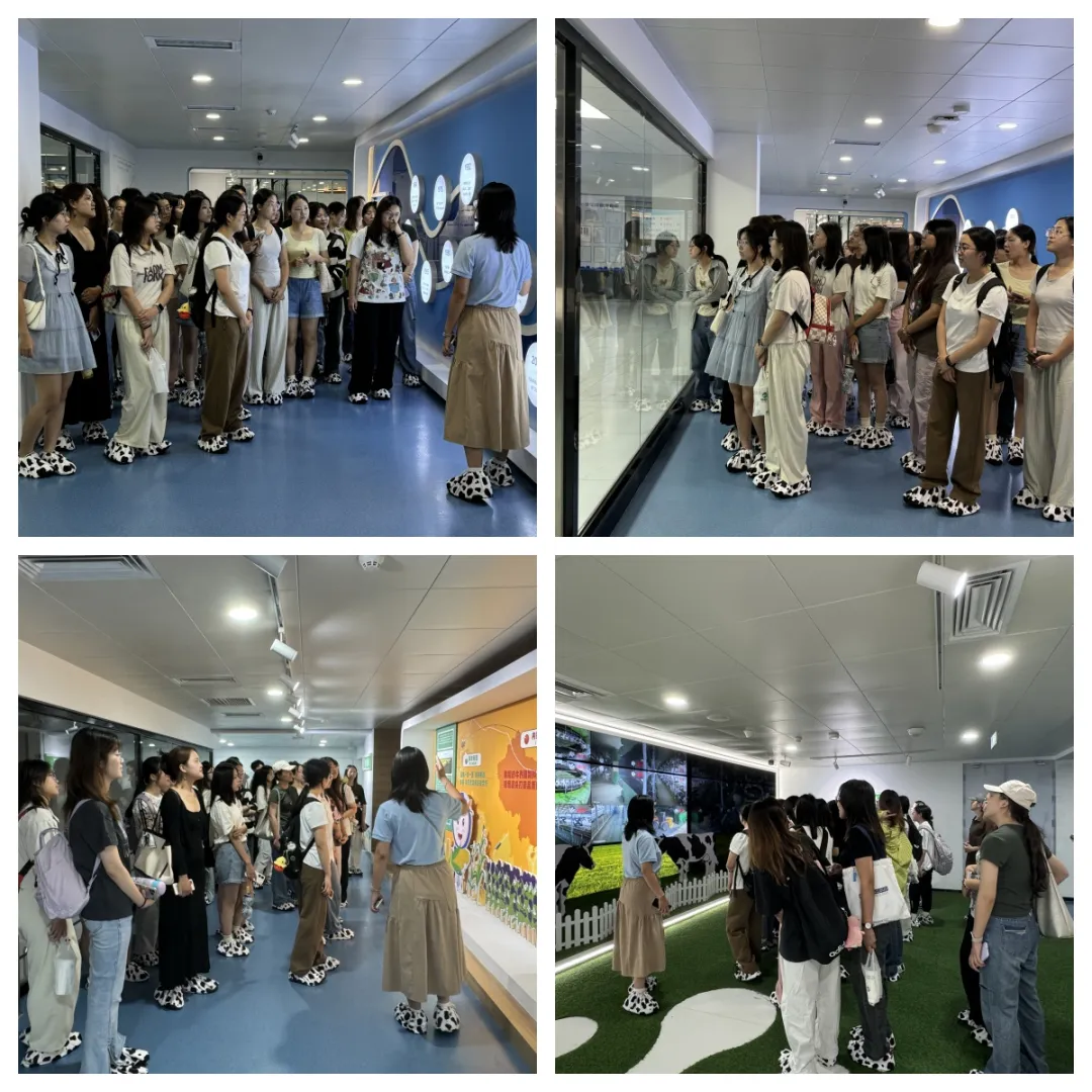 1724998240246389.png 4b97f13de89eaa15bef3afa9d4040af.png